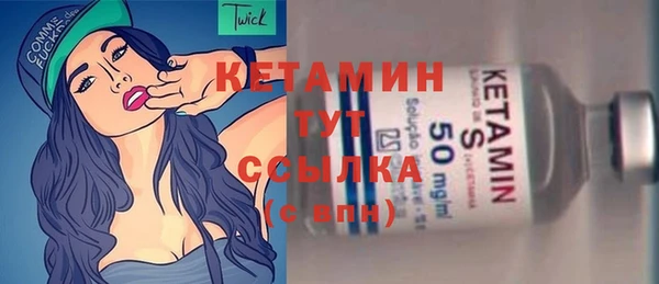 стафф Новозыбков