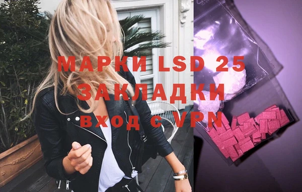 стафф Новозыбков