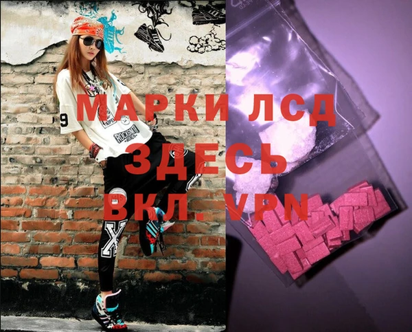стафф Новозыбков