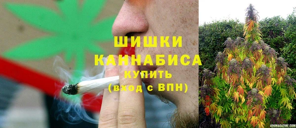дживик Нязепетровск