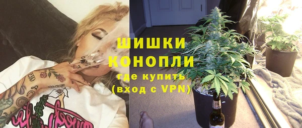 стафф Новозыбков