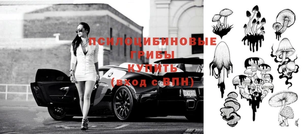 стафф Новозыбков