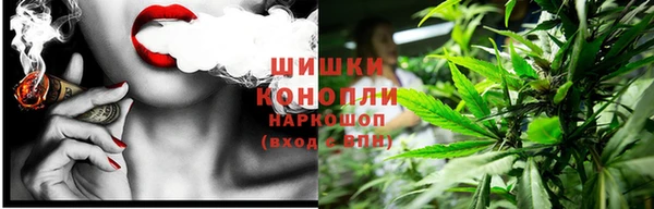 стафф Новозыбков
