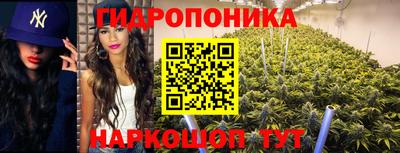 шишки Балаково