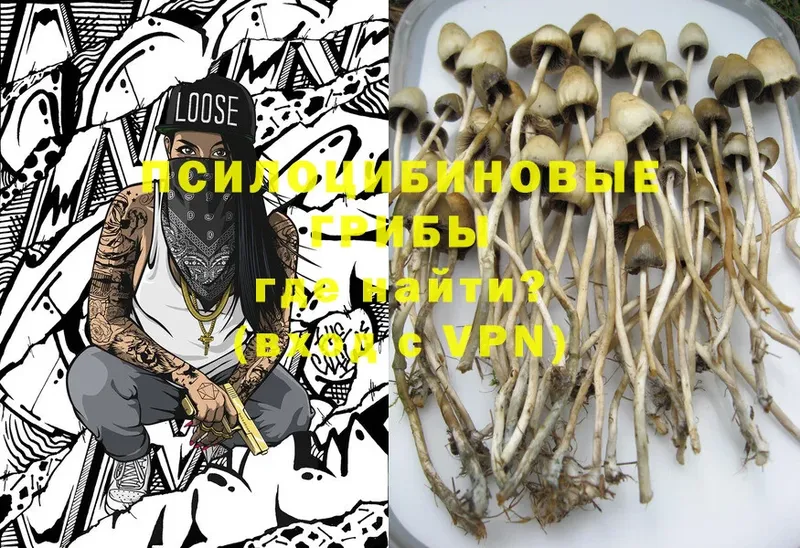 купить наркотик  Лянтор  darknet состав  Галлюциногенные грибы Magic Shrooms 