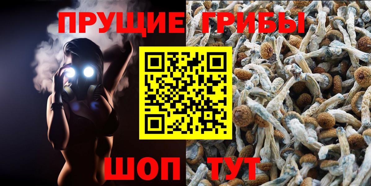 Галлюциногенные грибы Psilocybe  купить наркотики сайты  Лянтор  Вход с VPN 